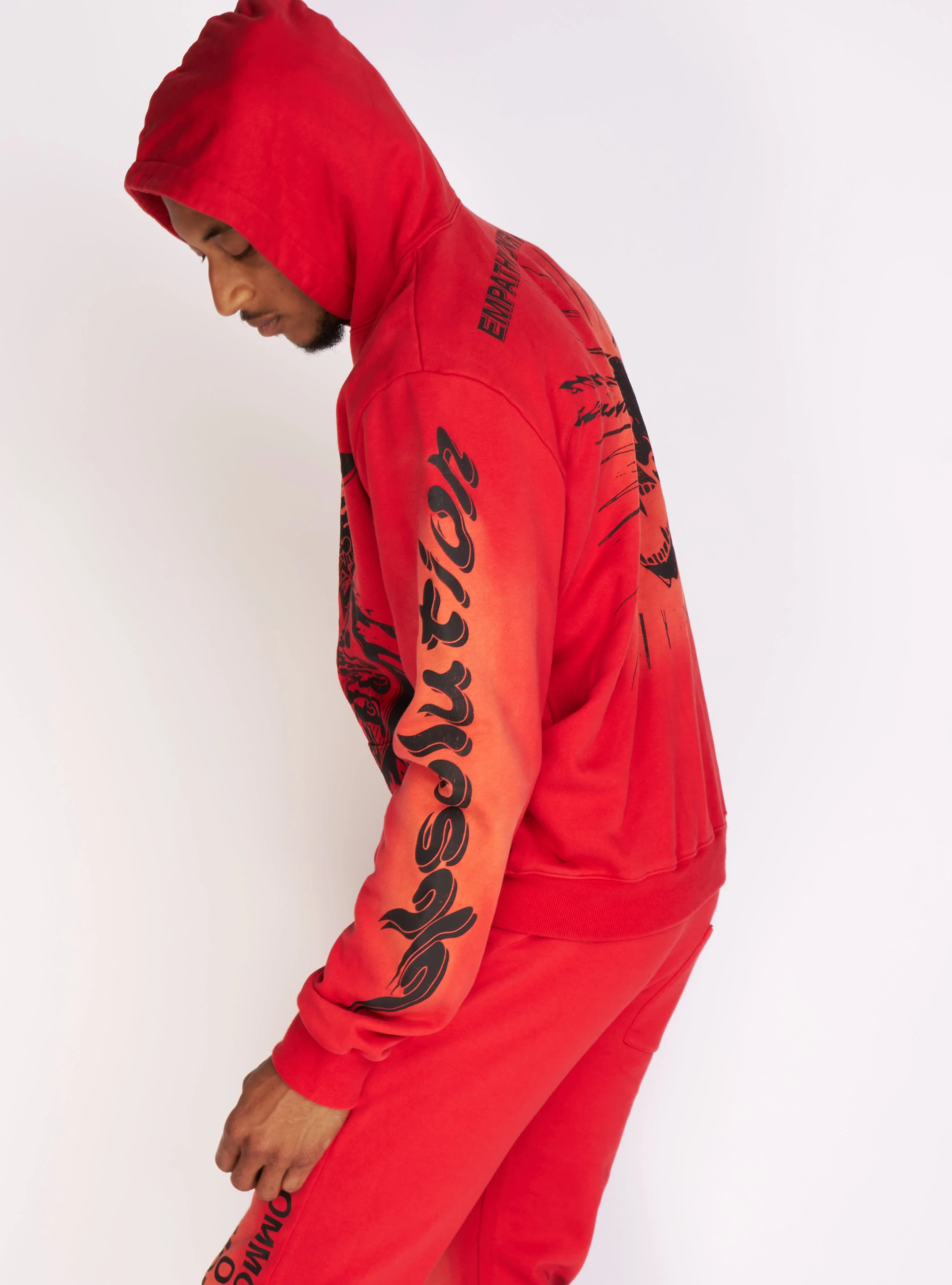 Politics Hoodie - Dennis - Red Wash - 722 - Image 3
